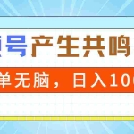 (9133期)2024年视频号,产生共鸣赛道,简单无脑,一分钟一条视频,日入1000+