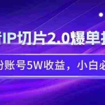 (9132期)抖音IP切片2.0爆单打法,千粉账号5W收益,小白必备