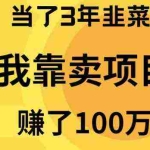 (9100期)当了3年韭菜,我靠卖项目赚了100万