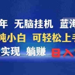 (9096期)2024年无脑挂机蓝海项目 纯小白可轻松上手 轻松实现躺赚日入900+