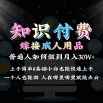 2024普通人做知识付费结合成人用品如何实现单月变现30w➕保姆教学1.0