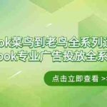 (9065期)Facebook-菜鸟到老鸟全系列运营玩法+Facebook-专业广告投放全系列课程