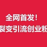 (9061期)(全网首发)外面收费几千的裂变引流高质量创业粉
