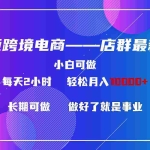 (9060期)东南亚跨境电商店群新玩法2—小白每天两小时 轻松10000+