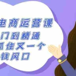 (9053期)2024小红书-电商运营课,从入门到精通,带你抓住又一个赚钱风口(50节课)