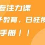(9050期)靠儿童专注力课程售卖亲子育儿课程,日暴力狂揽1000+,喂饭手册分享