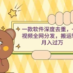 (9046期)一款软件深度去重,一个视频全网分发,搬运轻松月入过万