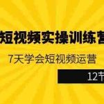 (9029期)视频号短视频实操训练营第5期:7天学会短视频运营(12节课)