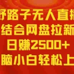 （9025期）无人直播野路子结合网盘拉新，日赚2500+多平台变现，小白无脑轻松上手操作
