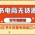 (9015期)小红书电商-无货源打卡,抢先占领小红书无货源电商风口(10节课)