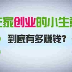 (8999期)在家创业,日引300+创业粉,一年收入30万,闷声发财的小生意,比打工强