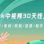 (8963期)TikTok中视频-30天线上陪跑班:注册/养号/素材/剪辑/搭建/制作/提现/等等