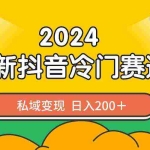 (8960期)2024抖音最新冷门赛道,私域变现轻松日入200+,作品制作简单,流量爆炸