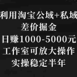 (8952期)利用淘宝公域+私域差价掘金,日赚1000-5000元,工作室可放大操作,实操…