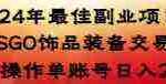 (8941期)2024年最佳副业项目 CSGO饰品装备交易 轻易操作单账号日入200+