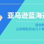 (8907期)亚马逊-蓝海选品课:适合新手小白卖家,让你轻松日出几十单小爆款产品