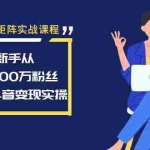 (8867期)抖音矩阵实战课程:新手从0到100万粉丝,全套抖音变现实操