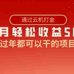 (8845期)过年都可以干的项目,快手掘金,一个月收益5000+,简单暴利