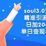 (8885期)soul3.0玩法精准引流s粉,日加200人单日变现500+