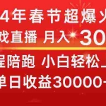 (8873期)龙年2024过年期间,最爆火的项目 抓住机会 普通小白如何逆袭一个月收益30W+