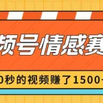 (8833期)2024最新视频号创作者分成暴利玩法-情感赛道,10秒视频赚了1500+