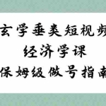 (8820期)玄学 垂类短视频经济学课,保姆级做号指南(8节课)