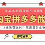 (8787期)淘宝拼多多电商平台截流创业粉 只需要花上1分钱,长尾流量至少给你引流50粉