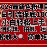 (8783期)2024最新换脸项目,小白轻松上手,单号单月变现3W+,可批量矩阵操作放大
