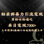 (8781期)全网首发相亲群暴力引流男粉女粉通吃变现玩法,单日变现7000+保姆教学1.0