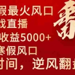 (8766期)2024年最火寒假风口项目 小游戏直播 单场收益5000+抓住风口 一个月直接提车