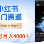 (8743期)小红书冷门赛道,夜光治愈系壁纸号,单号月入4000+