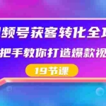 (8716期)视频号-获客转化全攻略,手把手教你打造爆款视频号(19节课)