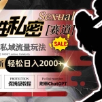 (8713期)全网最新男性私密赛道玩法,引爆私域流量,轻松日入2000+