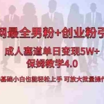 (8680期)全网首发成人用品单日卖货5W+,最全男粉+创业粉引流玩法,小白也能轻松…