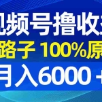 (8679期)视频号野路子撸收益,100%原创,条条爆款,月入6000+