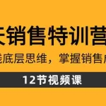 (8659期)28天·销售特训营5期:了解赚钱底层思维,掌握销售成交密码(12节课)