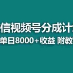 (8649期)【蓝海项目】视频号分成计划最新玩法,单天收益8000+,附玩法教程