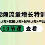 (8600期)短视频流量增长特训营:流量认知+数据认知+起号认知+产品认知(10节课)