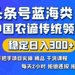 (8595期)头条号蓝海类目传统和农谚领域实操精品课程拒绝违规封号稳定日入300+