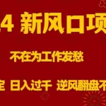 (8587期)2024新风口项目,不在为工作发愁,长期稳定,日入过千 逆风翻盘不是梦