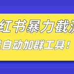 (8580期)小红书截流引流大法,简单无脑粗暴,日引20-30个高质量创业粉(送自动加…