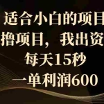 （8571期）适合小白的项目，0撸项目，我出资金，每天15秒，一单利润600