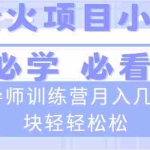 (8569期)导师训练营互联网最牛逼的项目没有之一,新手小白必学,月入2万+轻轻松松