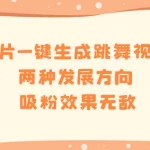 (8552期)图片一键生成跳舞视频,两种发展方向,吸粉效果无敌,