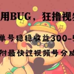 (8549期)全网独家首发,视频号BUG,超短期项目,单号每日净收益300-5000!