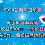 (8545期)2024最新风口项目 低密度蓝海赛道,日收益5000+周收益4w+ 无脑操作,保…