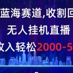 (8544期)冷门蓝海赛道,收割回忆粉,无人挂机直播,单场收入轻松2000-5w+