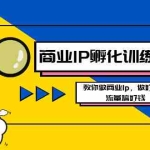(8539期)商业IP-孵化训练营新版,教你做商业Ip,做好人设,流量搞好钱
