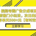 (8527期)视频号薅广告分成项目,年前偏门小玩法,次日出结果,单号单天500+元【…