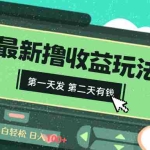 (8522期)2024最新撸视频收益玩法,第一天发,第二天就有钱